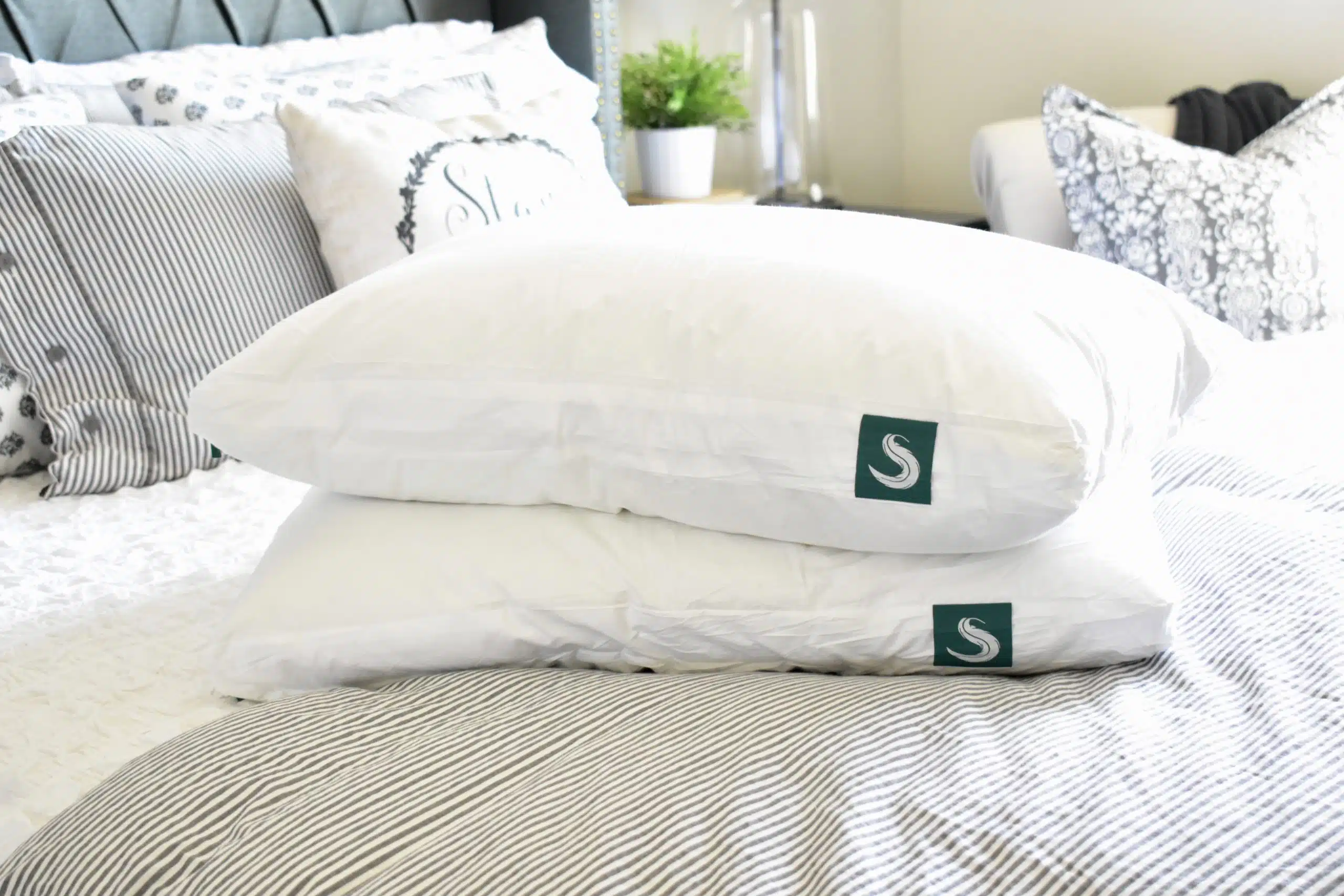 Sleepgram Pillows